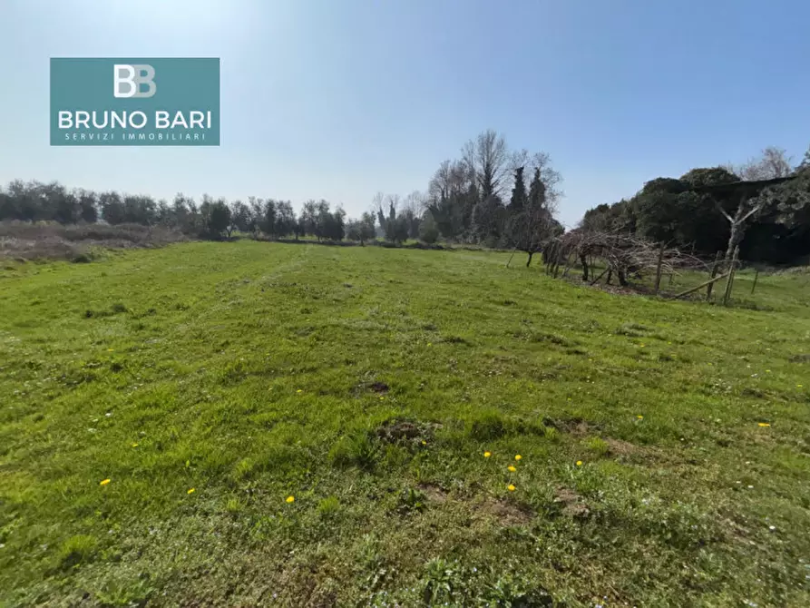 Immagine 21 di Rustico / casale in vendita  in via de Bortoli a San Quirino