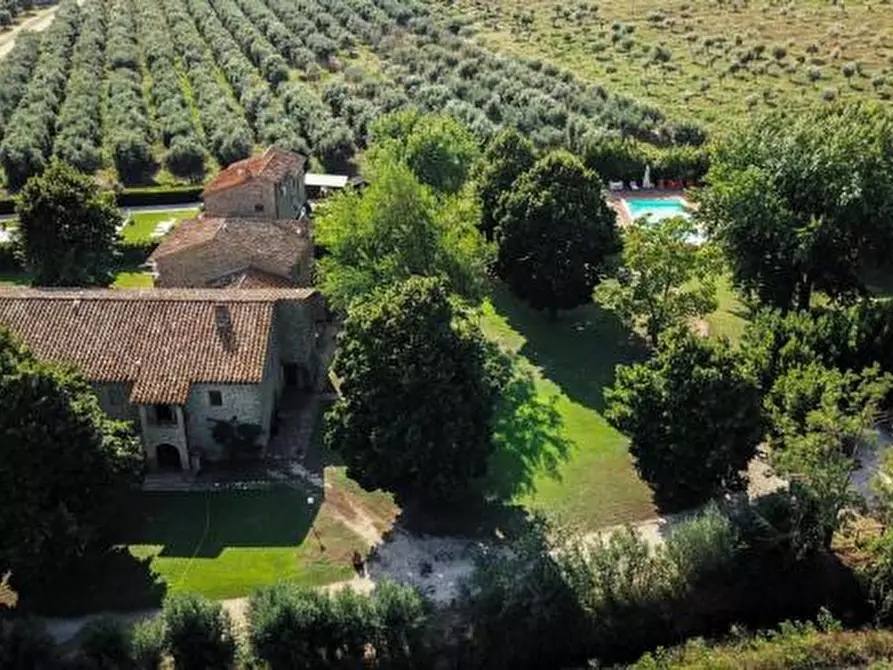 Immagine 4 di Appartamento in vendita  a Passignano Sul Trasimeno