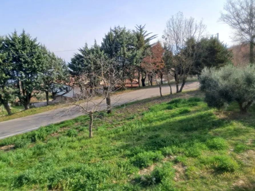 Immagine 11 di Casa indipendente in vendita  in Strada Comunale Monte Mauro, 110 a Apollosa