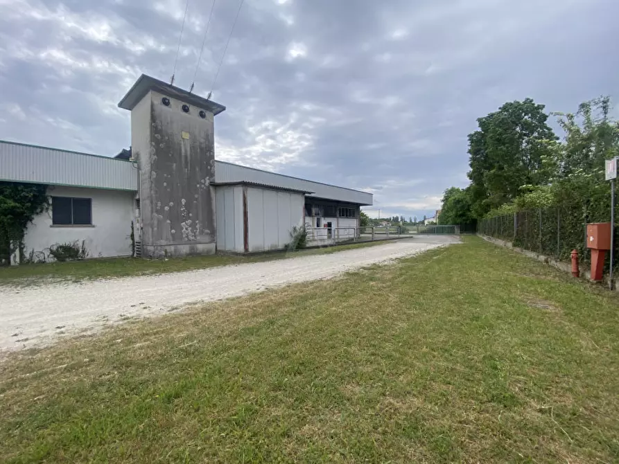 Immagine 21 di Capannone industriale in vendita  in Via Vittorio Veneto a Castelfranco Veneto