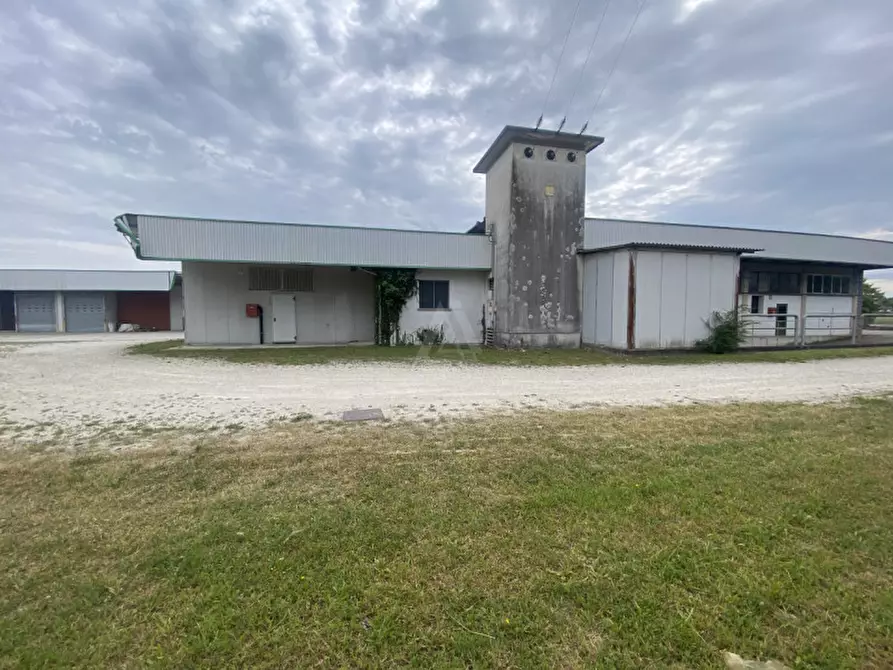 Immagine 23 di Capannone industriale in vendita  in Via Vittorio Veneto a Castelfranco Veneto