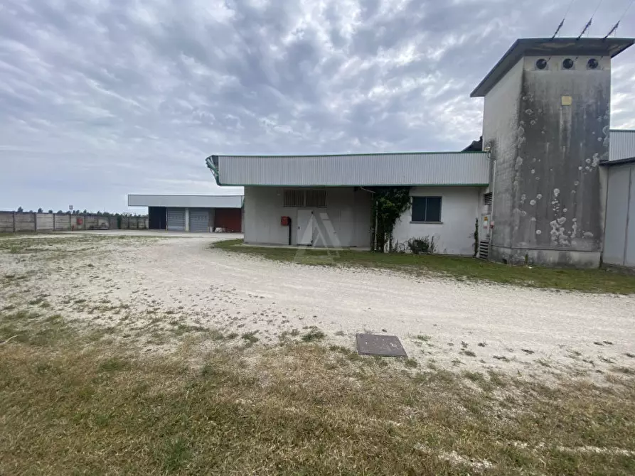 Immagine 24 di Capannone industriale in vendita  in Via Vittorio Veneto a Castelfranco Veneto