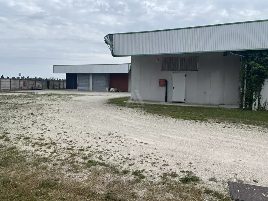 Immagine 25 di Capannone industriale in vendita  in Via Vittorio Veneto a Castelfranco Veneto