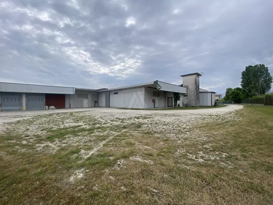 Immagine 26 di Capannone industriale in vendita  in Via Vittorio Veneto a Castelfranco Veneto