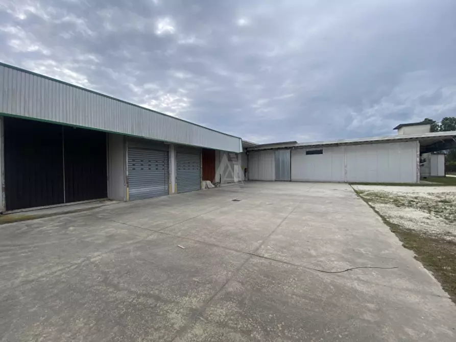 Immagine 27 di Capannone industriale in vendita  in Via Vittorio Veneto a Castelfranco Veneto
