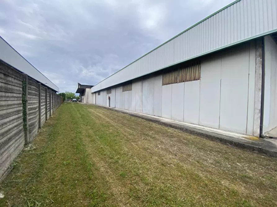 Immagine 29 di Capannone industriale in vendita  in Via Vittorio Veneto a Castelfranco Veneto