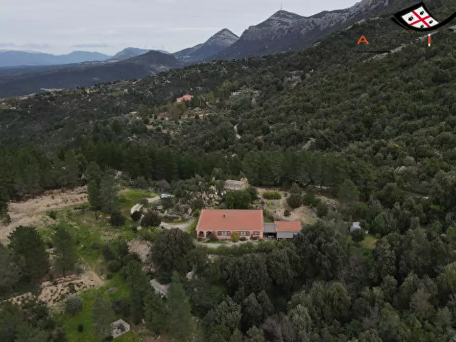 Immagine 1 di Casa indipendente in vendita  in oddoene a Dorgali