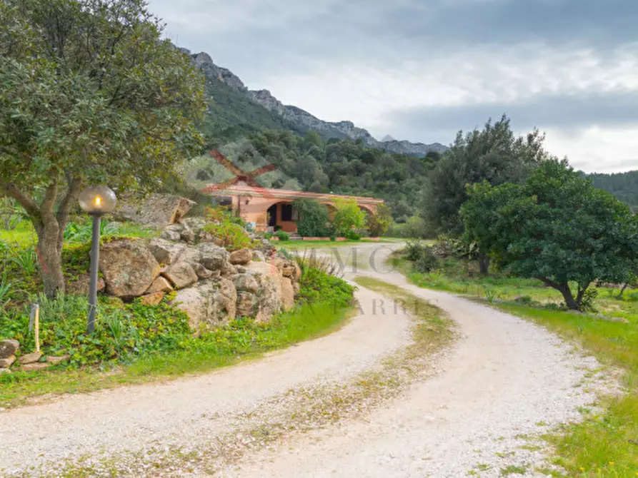 Immagine 8 di Casa indipendente in vendita  in oddoene a Dorgali