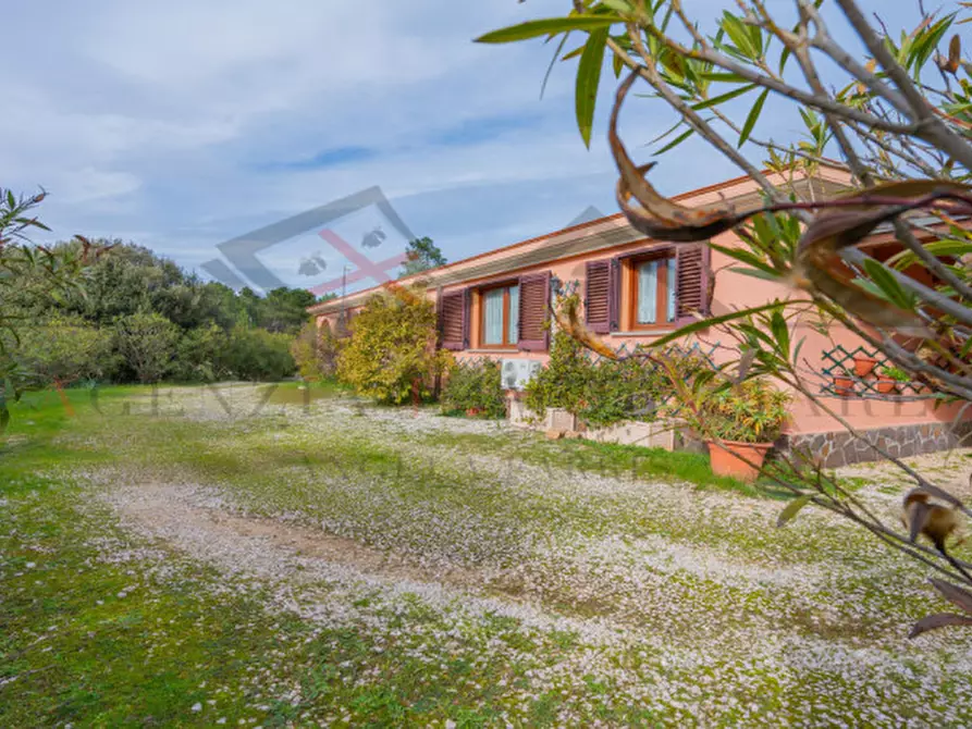 Immagine 9 di Casa indipendente in vendita  in oddoene a Dorgali