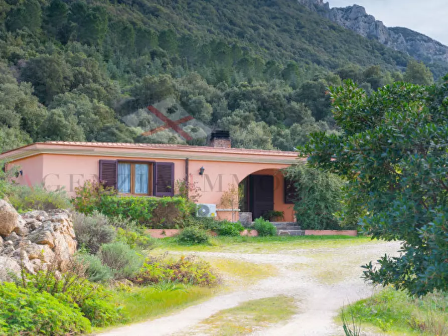 Immagine 10 di Casa indipendente in vendita  in oddoene a Dorgali
