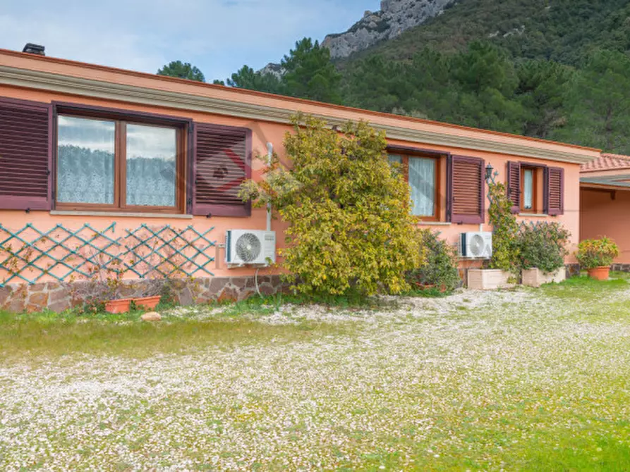 Immagine 15 di Casa indipendente in vendita  in oddoene a Dorgali