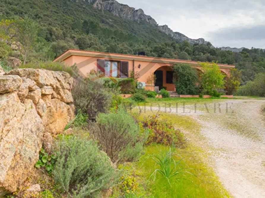 Immagine 16 di Casa indipendente in vendita  in oddoene a Dorgali