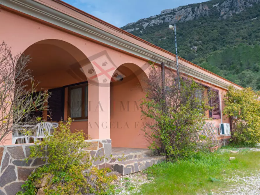 Immagine 17 di Casa indipendente in vendita  in oddoene a Dorgali