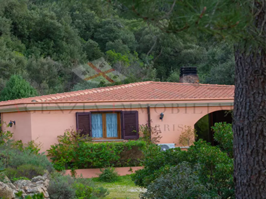 Immagine 18 di Casa indipendente in vendita  in oddoene a Dorgali