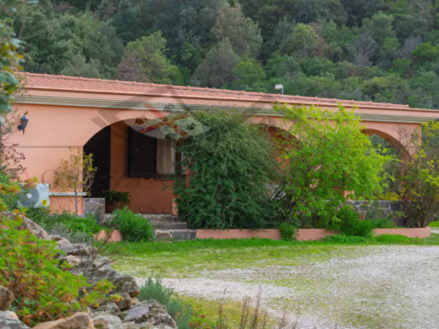 Immagine 19 di Casa indipendente in vendita  in oddoene a Dorgali