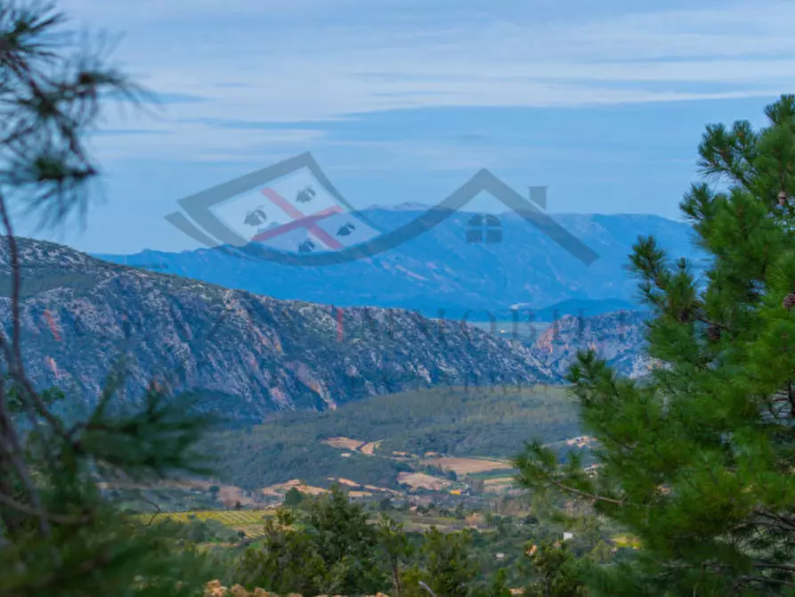 Immagine 71 di Casa indipendente in vendita  in oddoene a Dorgali