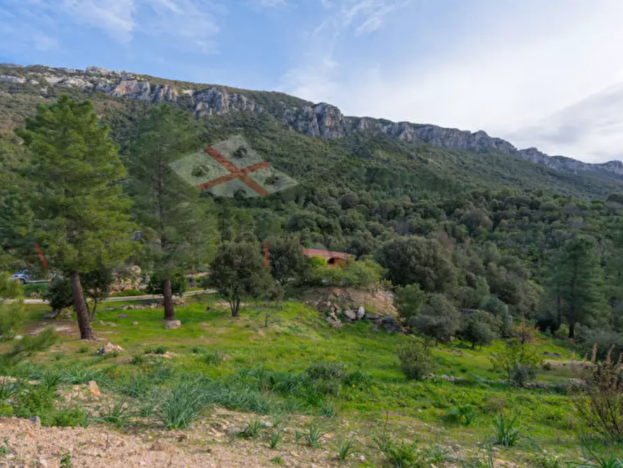 Immagine 115 di Casa indipendente in vendita  in oddoene a Dorgali