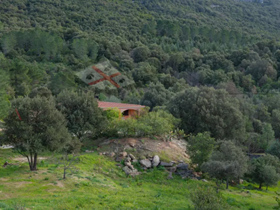 Immagine 116 di Casa indipendente in vendita  in oddoene a Dorgali