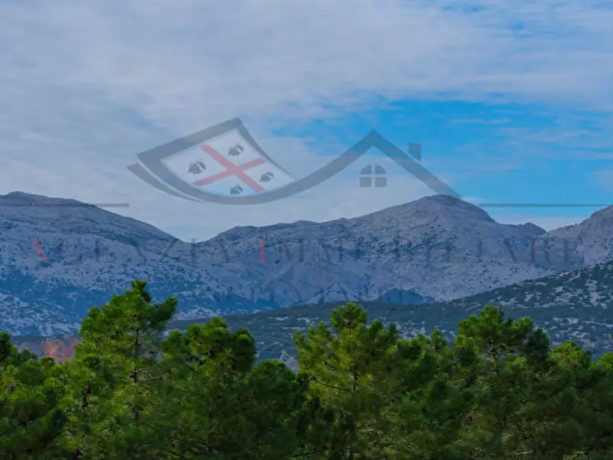 Immagine 118 di Casa indipendente in vendita  in oddoene a Dorgali