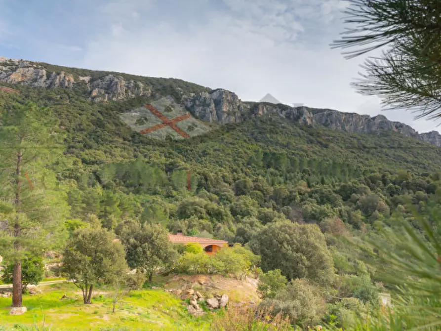 Immagine 119 di Casa indipendente in vendita  in oddoene a Dorgali