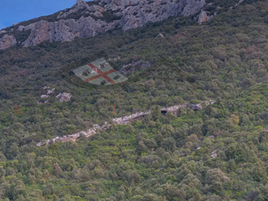 Immagine 121 di Casa indipendente in vendita  in oddoene a Dorgali