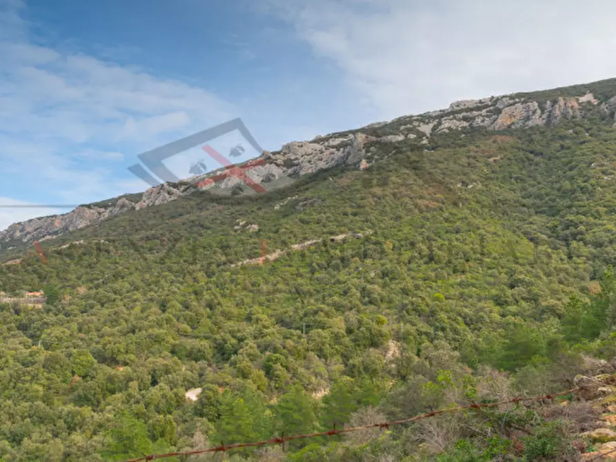 Immagine 122 di Casa indipendente in vendita  in oddoene a Dorgali