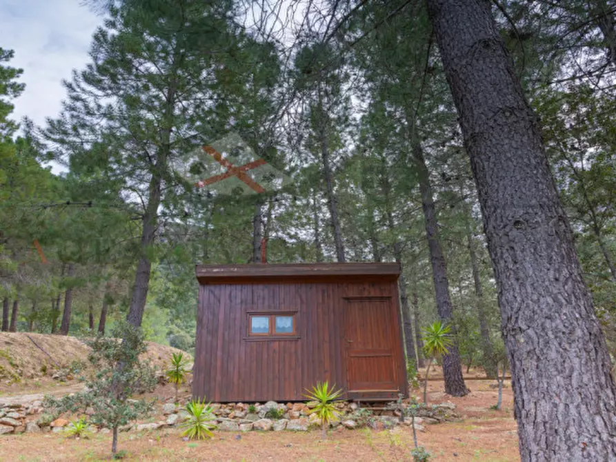 Immagine 126 di Casa indipendente in vendita  in oddoene a Dorgali
