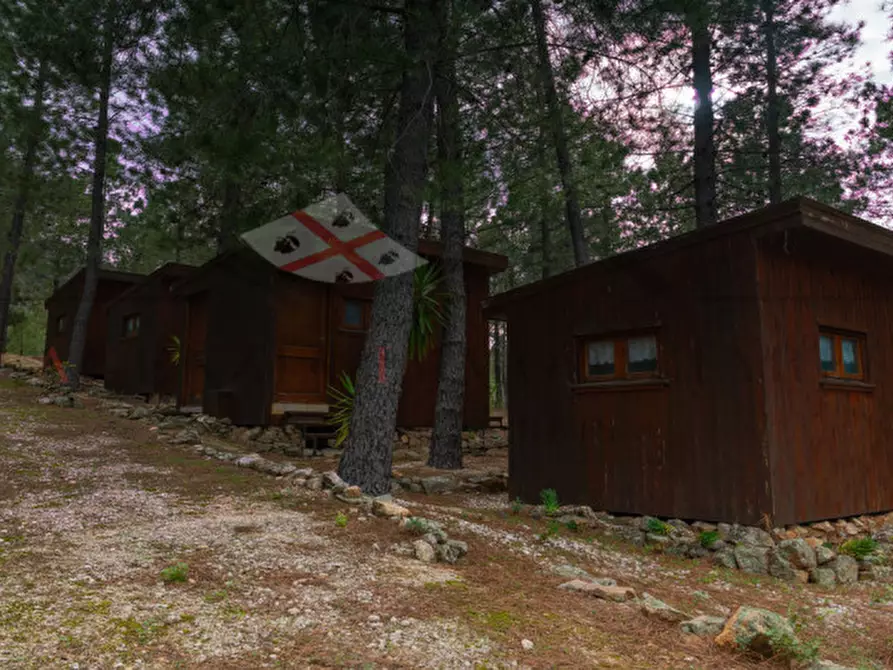 Immagine 127 di Casa indipendente in vendita  in oddoene a Dorgali