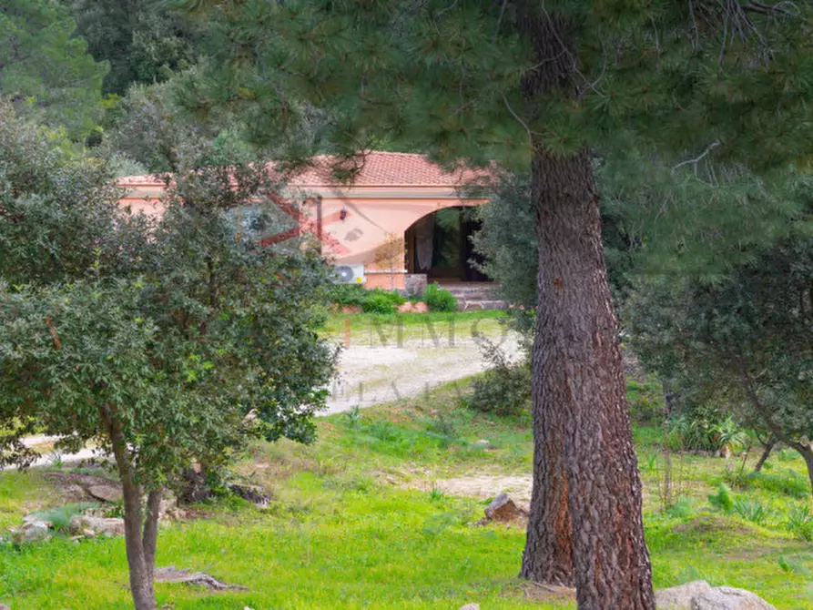 Immagine 130 di Casa indipendente in vendita  in oddoene a Dorgali
