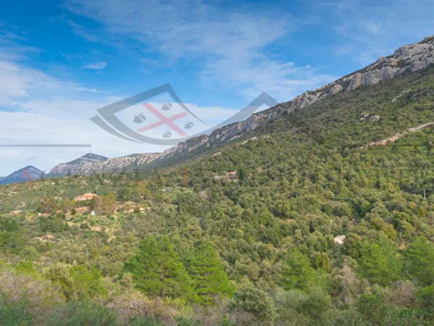 Immagine 131 di Casa indipendente in vendita  in oddoene a Dorgali