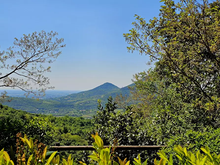 Immagine 2 di Rustico / casale in vendita  in VIA MONTE FASOLO a Cinto Euganeo