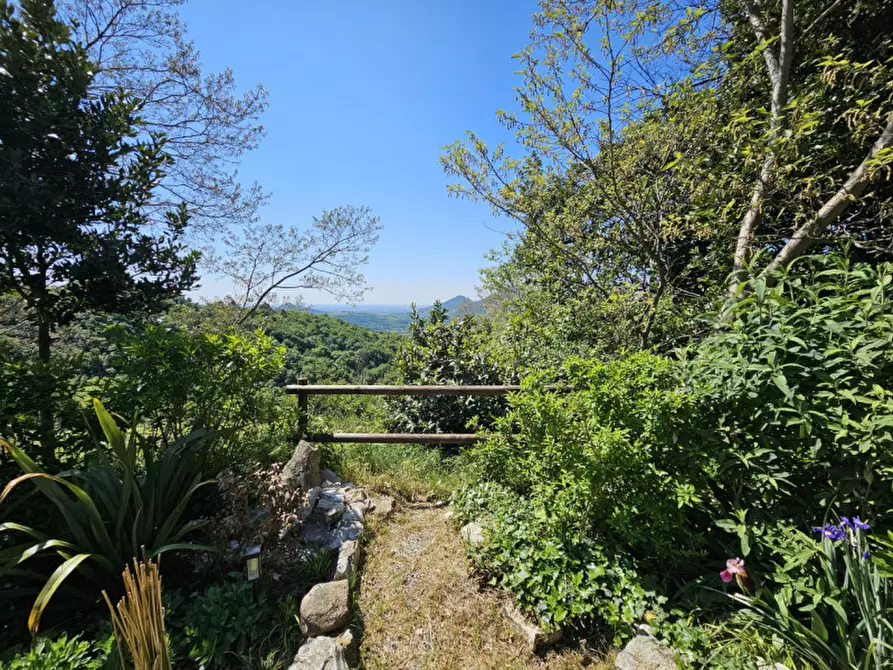 Immagine 8 di Rustico / casale in vendita  in VIA MONTE FASOLO a Cinto Euganeo