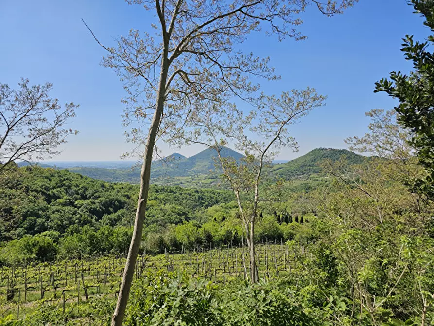 Immagine 16 di Rustico / casale in vendita  in VIA MONTE FASOLO a Cinto Euganeo