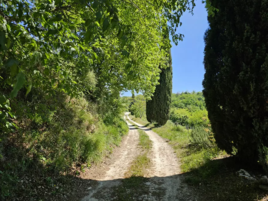 Immagine 26 di Rustico / casale in vendita  in VIA MONTE FASOLO a Cinto Euganeo
