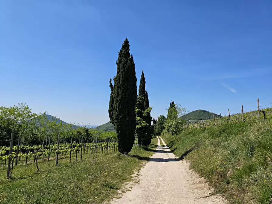 Immagine 29 di Rustico / casale in vendita  in VIA MONTE FASOLO a Cinto Euganeo