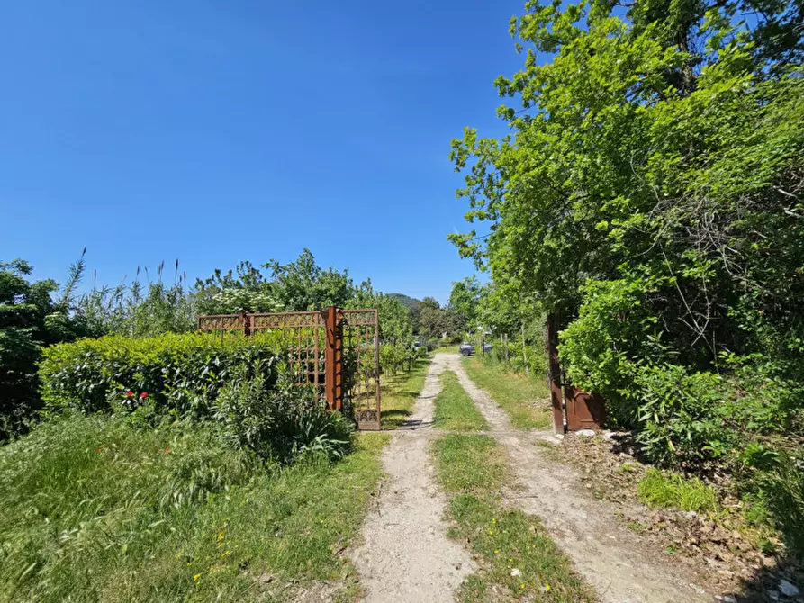 Immagine 30 di Rustico / casale in vendita  in VIA MONTE FASOLO a Cinto Euganeo