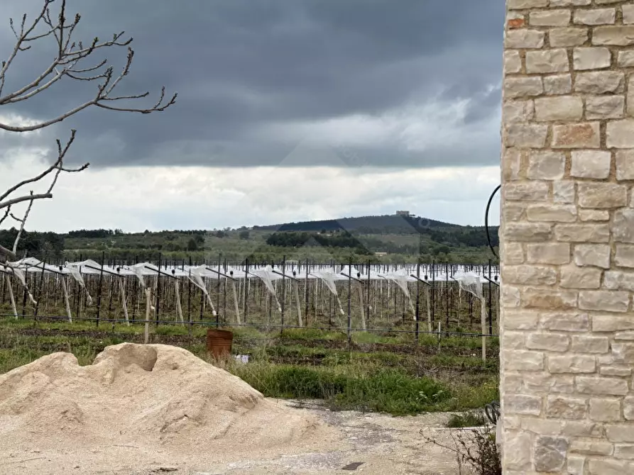 Immagine 3 di Villa in vendita  in Via Castel del Monte a Andria