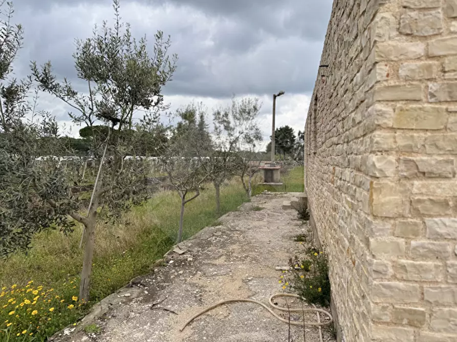Immagine 5 di Villa in vendita  in Via Castel del Monte a Andria