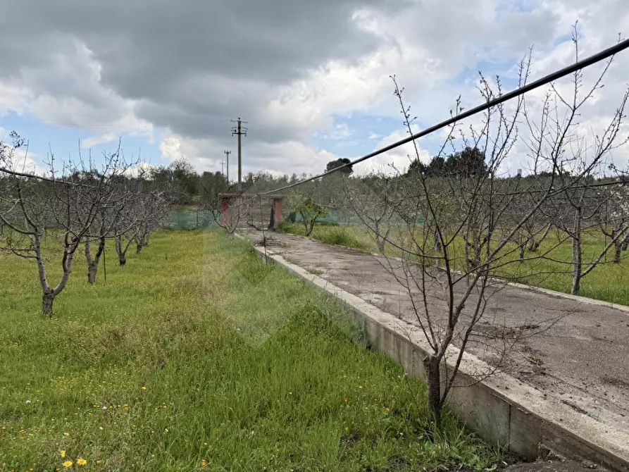 Immagine 6 di Villa in vendita  in Via Castel del Monte a Andria