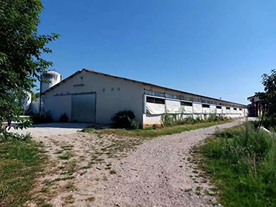 Immagine 1 di Capannone industriale in vendita  in Via Della Giacomona 1 a Sona