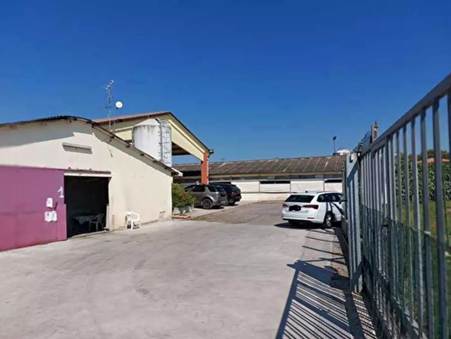 Immagine 3 di Capannone industriale in vendita  in Via Della Giacomona 1 a Sona
