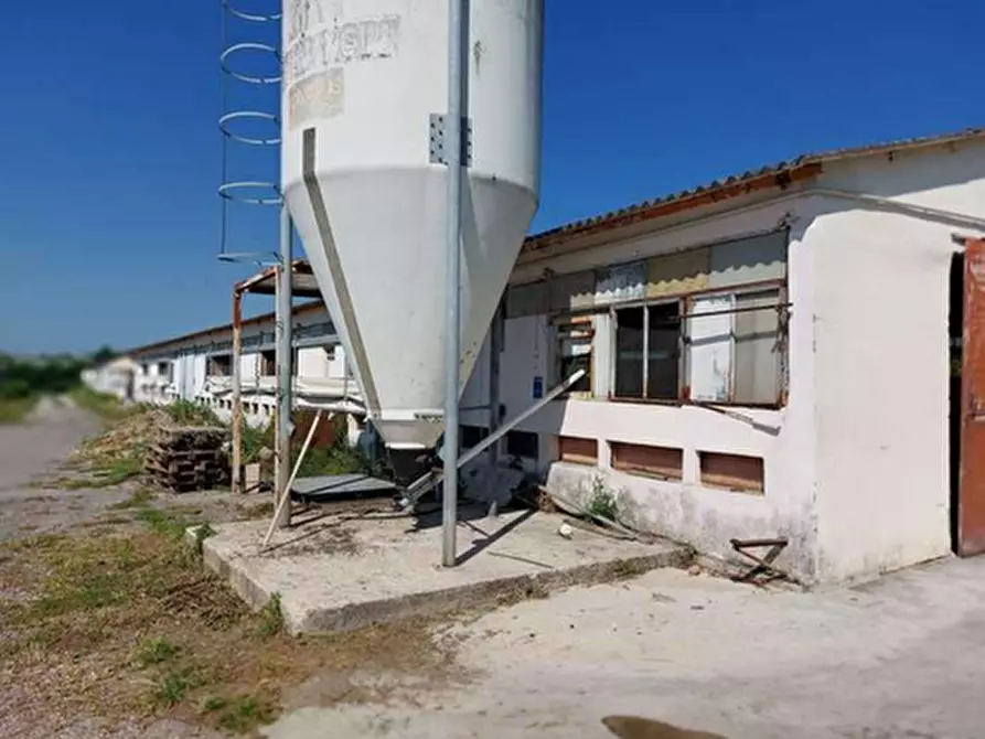 Immagine 5 di Capannone industriale in vendita  in Via Della Giacomona 1 a Sona