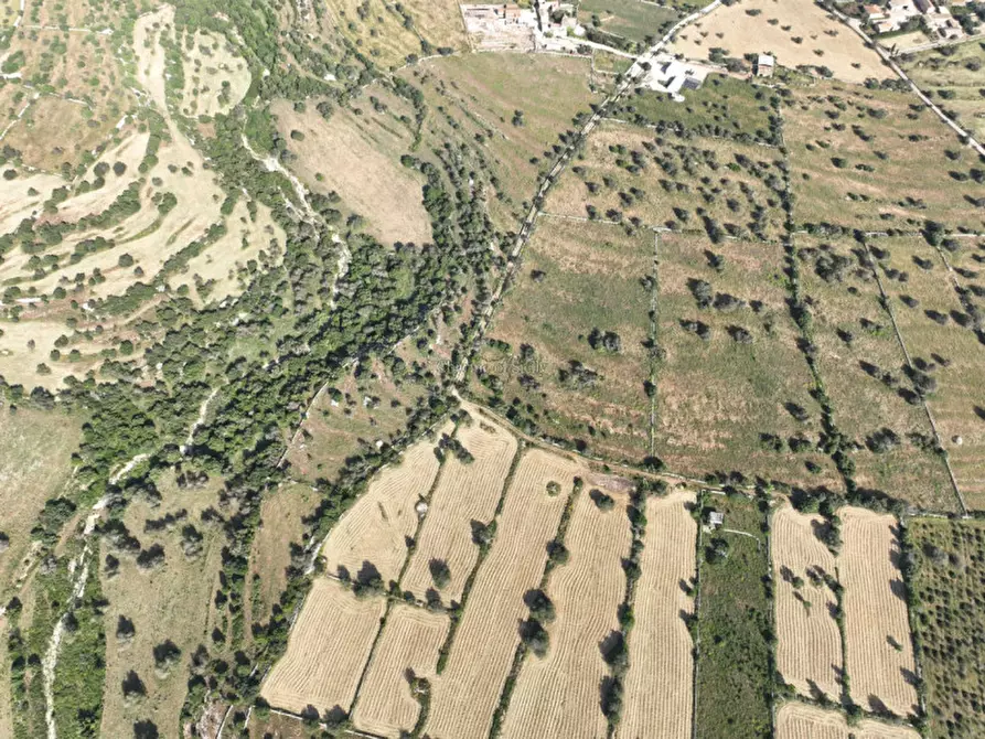 Immagine 4 di Terreno in vendita  in contrada casazze a Scicli