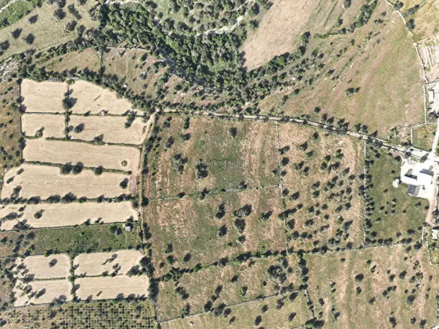 Immagine 6 di Terreno in vendita  in contrada casazze a Scicli