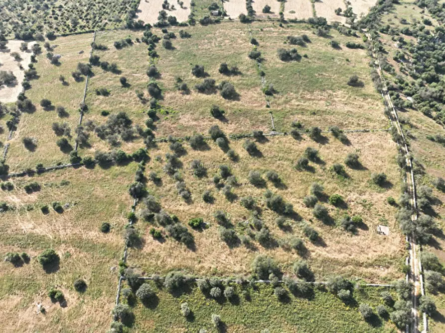 Immagine 8 di Terreno in vendita  in contrada casazze a Scicli