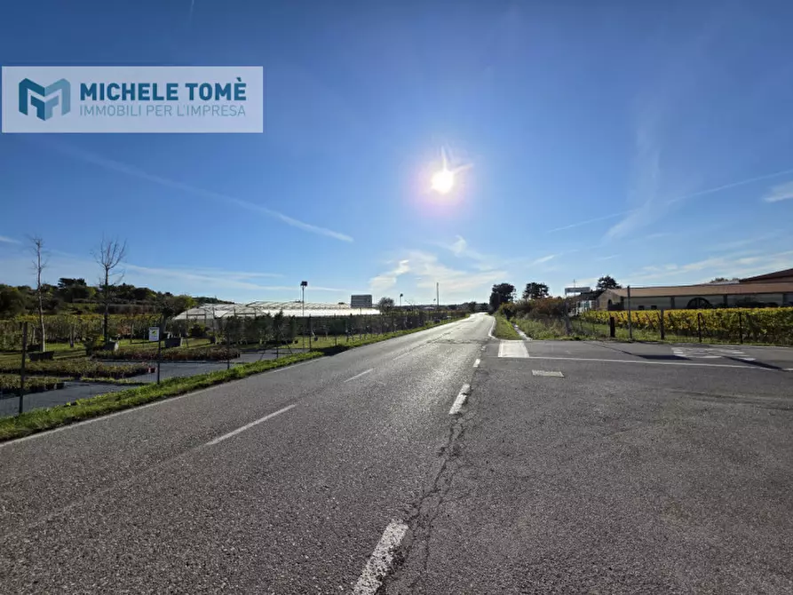 Immagine 8 di Terreno in vendita  in località bisavola a Bardolino