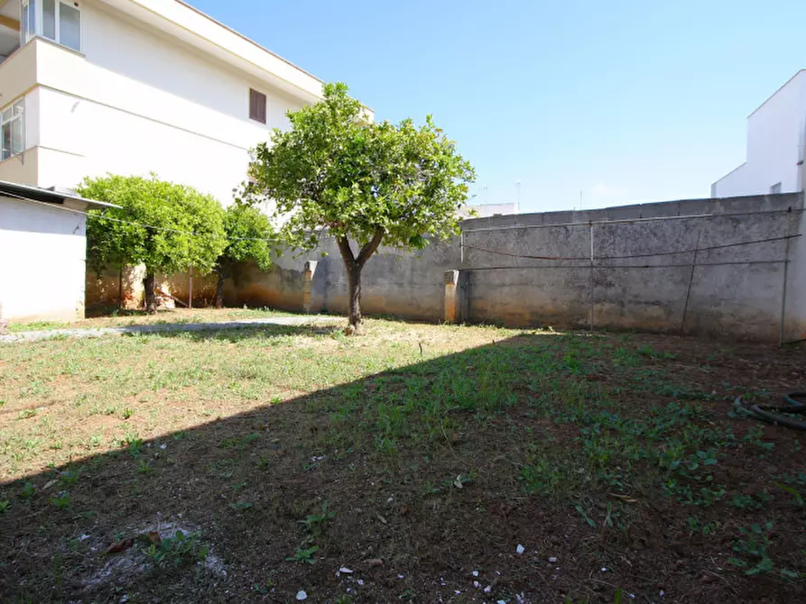 Immagine 3 di Casa indipendente in vendita  in Via Regina Elena a Presicce-Acquarica