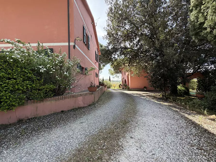Immagine 7 di Villa in vendita  in Via Scacciapolli a Fauglia