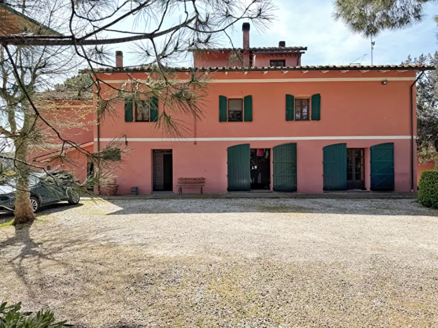Immagine 9 di Villa in vendita  in Via Scacciapolli a Fauglia