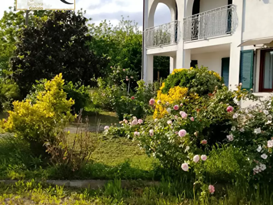 Immagine 2 di Casa indipendente in vendita  a Ceneselli